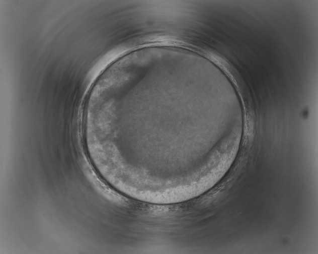 X0000114581098200911301329