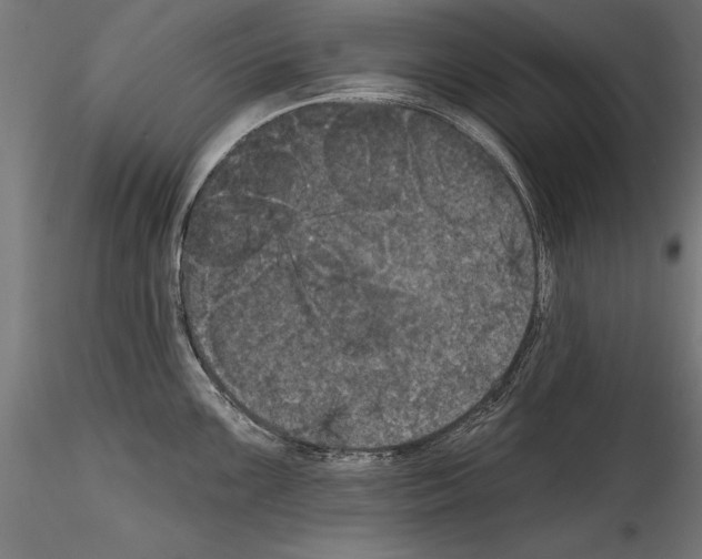 X0000114581099200911301329