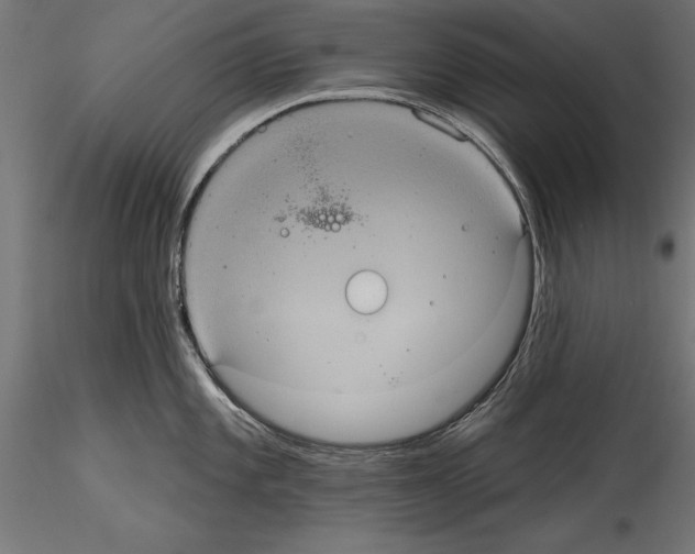 X0000114581101200911301329