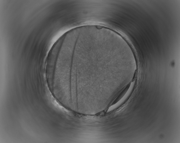 X0000114581102200911301329