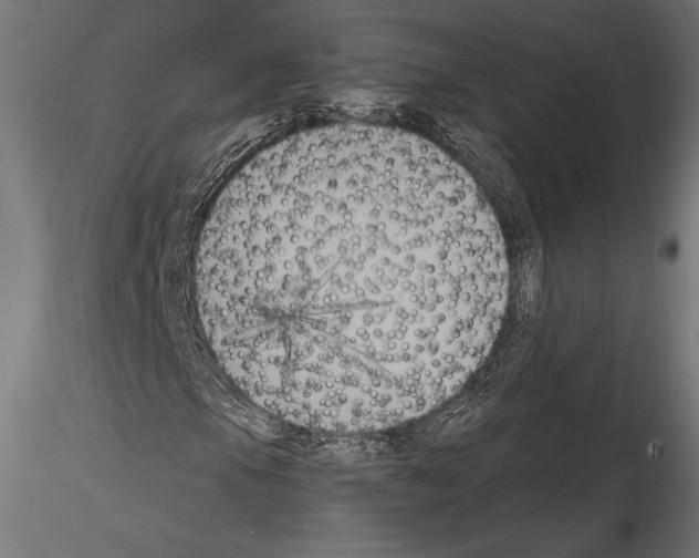 X0000114581105200911301328