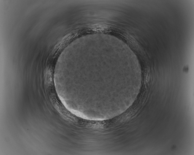 X0000114581106200911301328