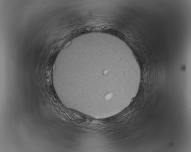 X0000114581109200911301328