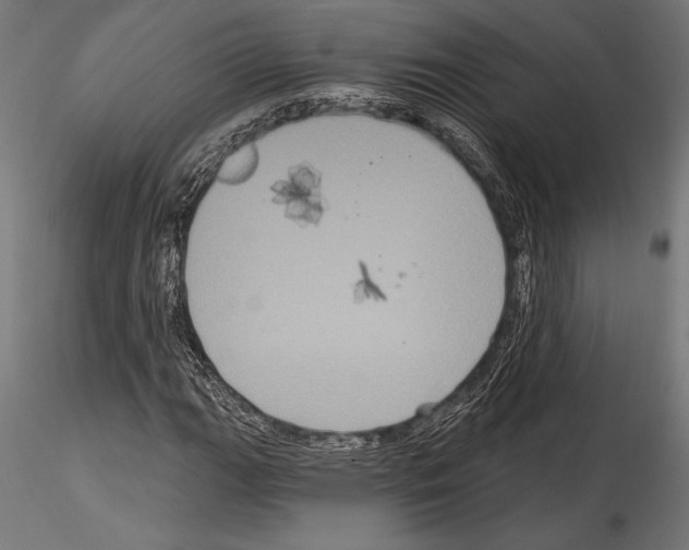 X0000114581111200911301328