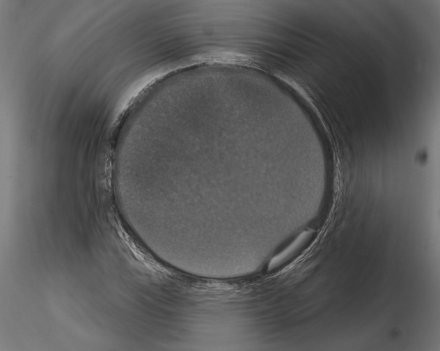 X0000114581115200911301328