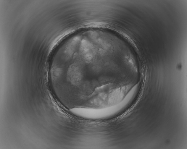 X0000114581117200911301328