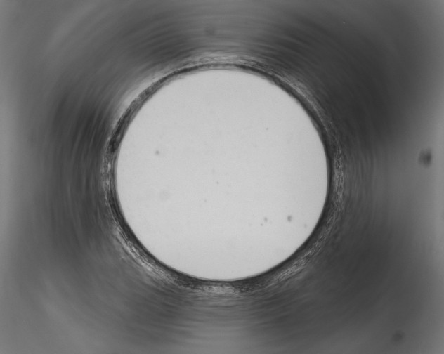 X0000114581119200911301328