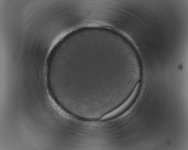 X0000114581122200911301328