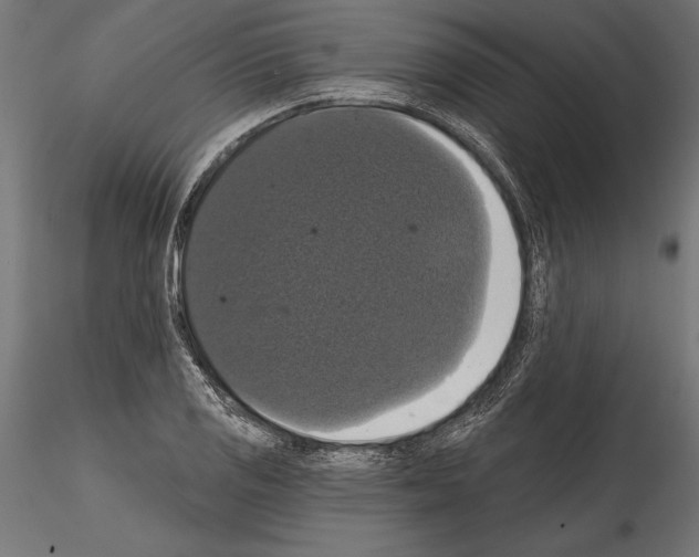 X0000114581125200911301328