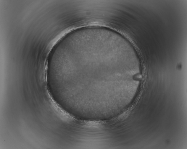 X0000114581126200911301328