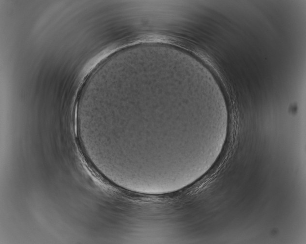 X0000114581127200911301328