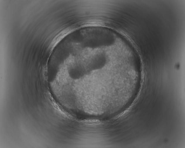 X0000114581129200911301329