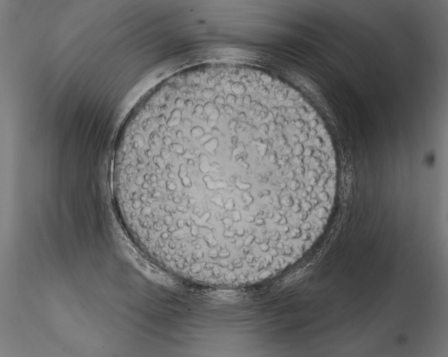 X0000114581130200911301329