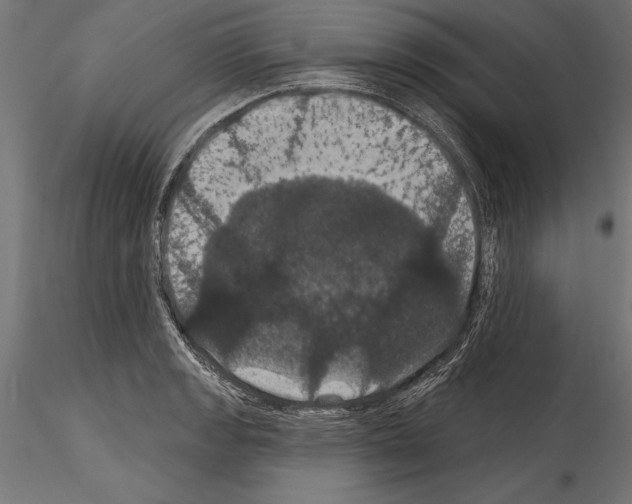 X0000114581133200911301329