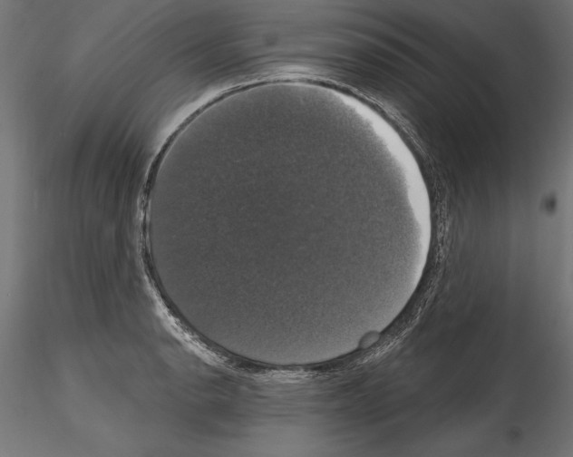 X0000114581134200911301329