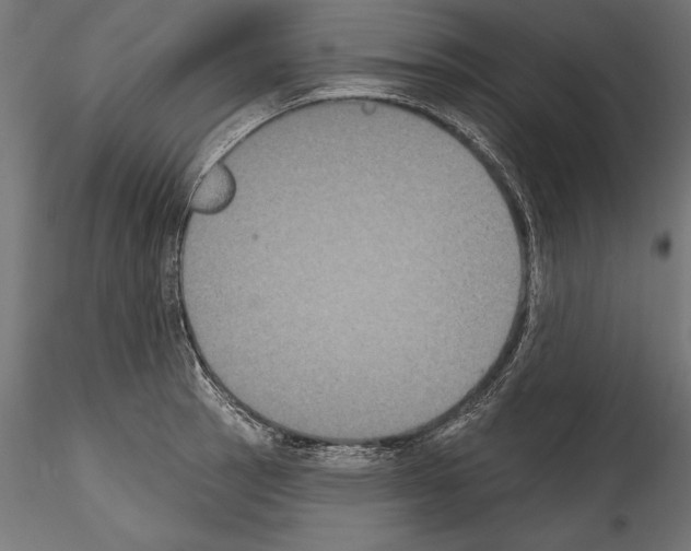 X0000114581137200911301329