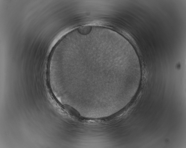 X0000114581138200911301329