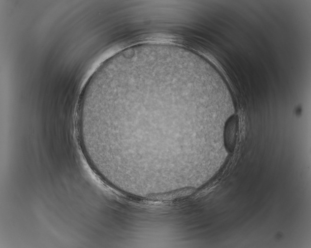 X0000114581139200911301329