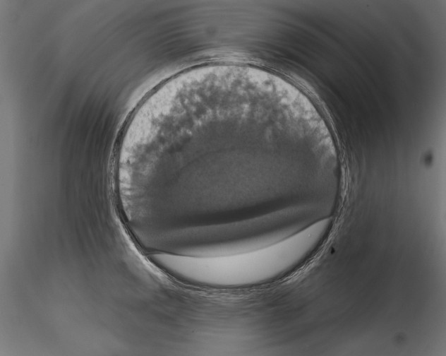 X0000114581141200911301329