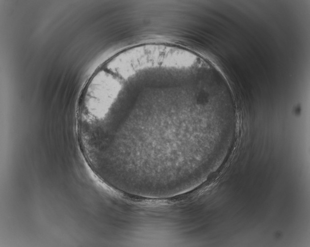 X0000114581143200911301329