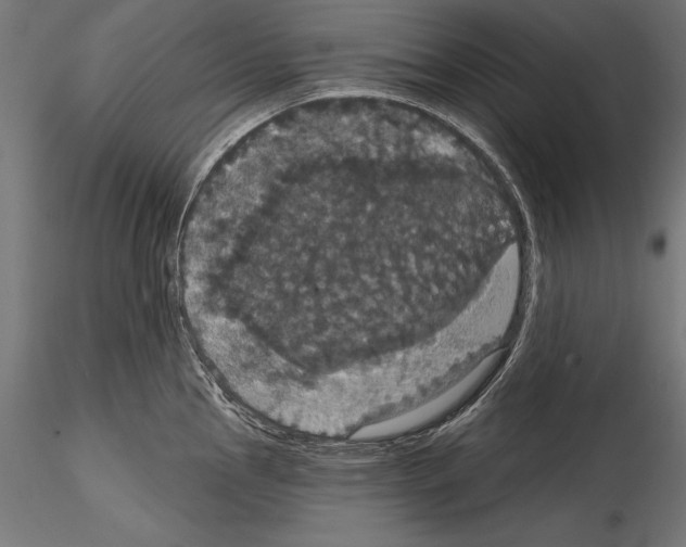 X0000114581145200911301329