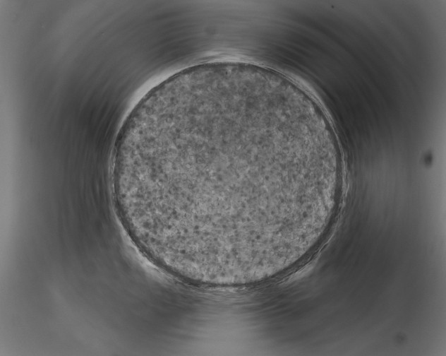 X0000114581149200911301329