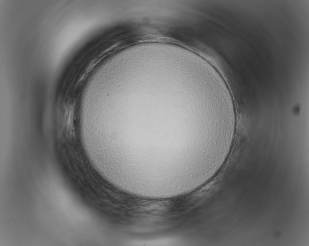 X0000114581150200911301329