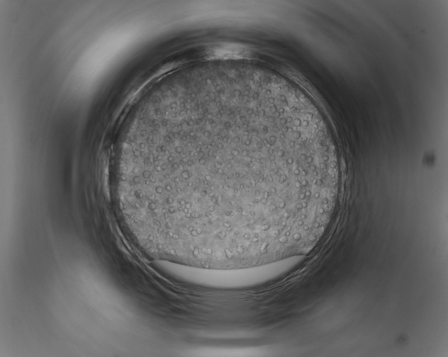 X0000114581151200911301329