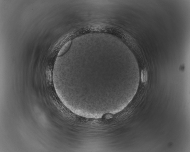 X0000114581155200911301328