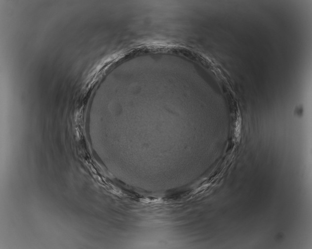 X0000114581157200911301328