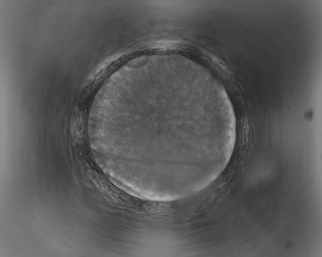 X0000114581158200911301328