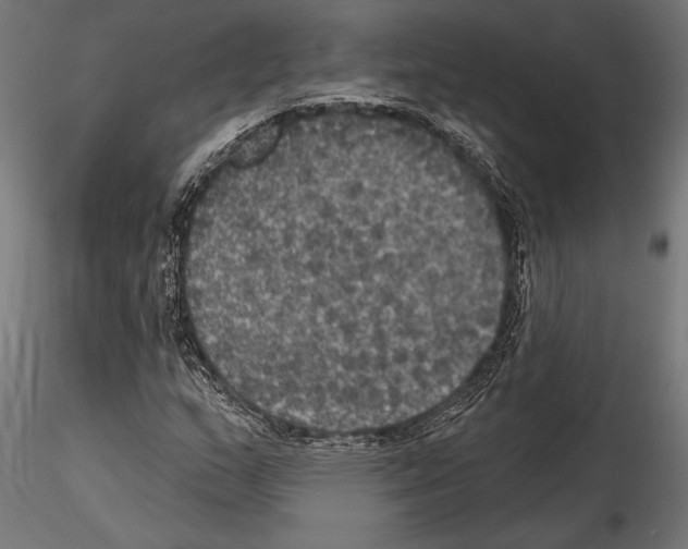 X0000114581159200911301328