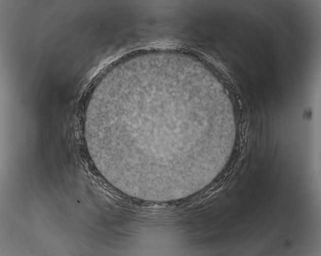 X0000114581160200911301328