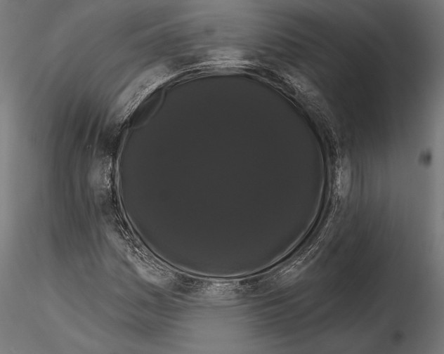 X0000114581161200911301328