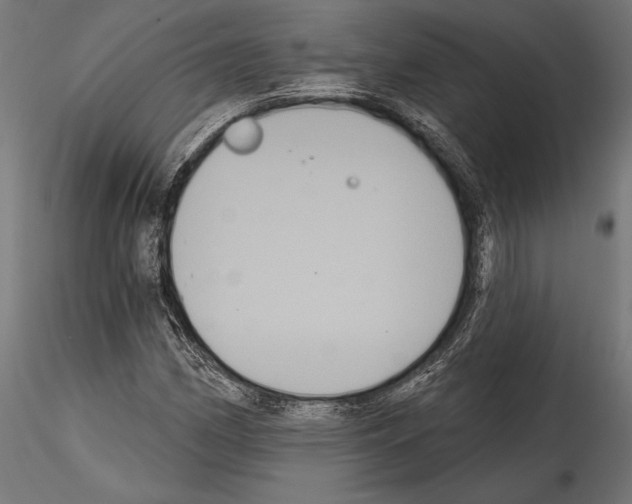 X0000114581162200911301328