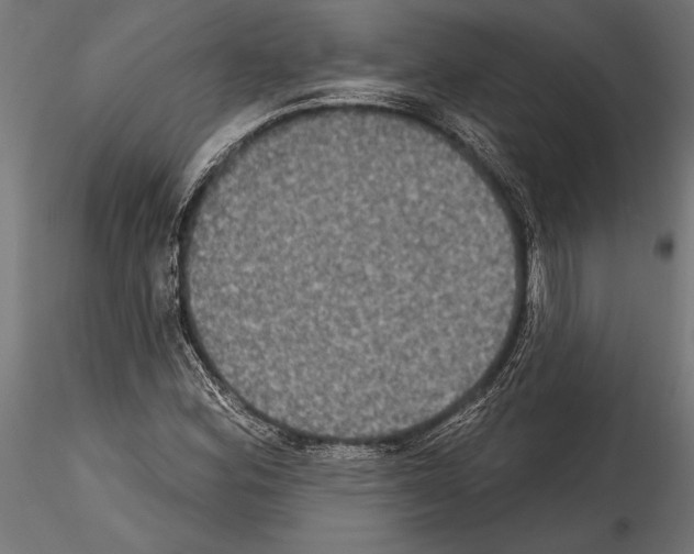 X0000114581164200911301328