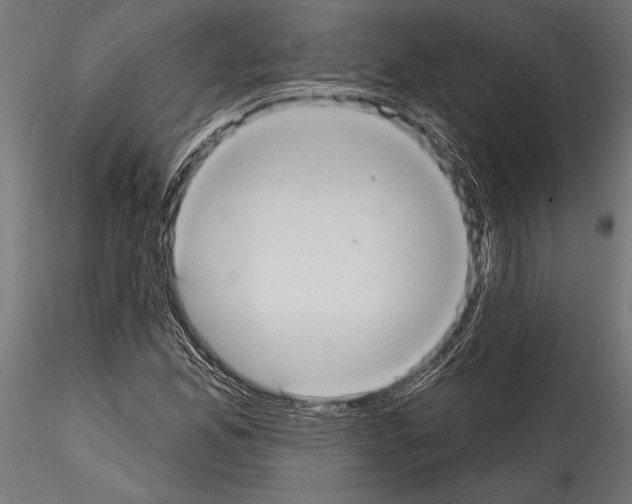 X0000114581165200911301328