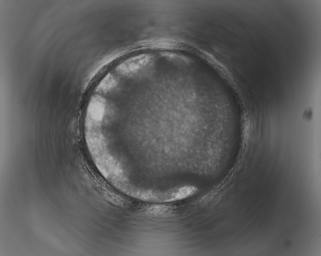 X0000114581166200911301328