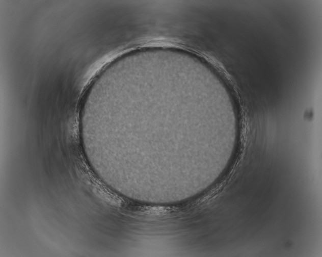 X0000114581167200911301328