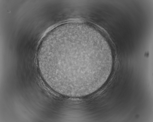 X0000114581168200911301328