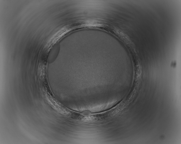 X0000114581169200911301328