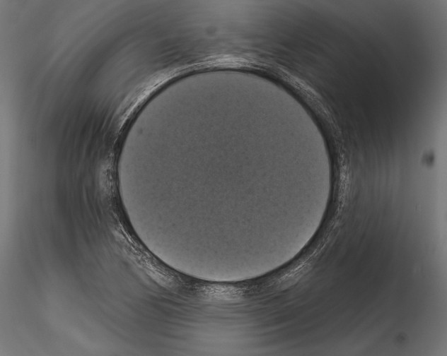 X0000114581170200911301328