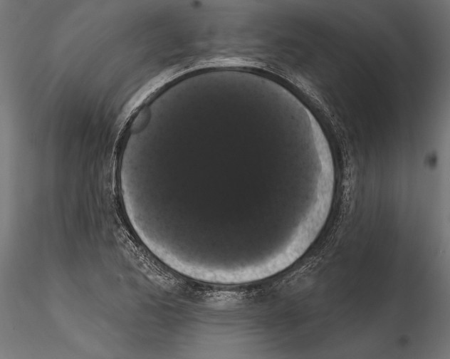 X0000114581173200911301328