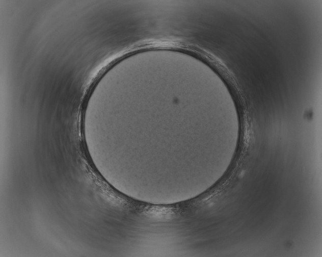 X0000114581174200911301328