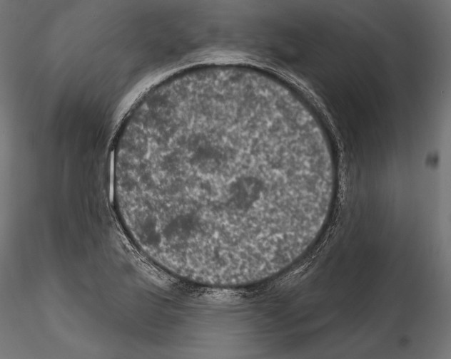 X0000114581175200911301328