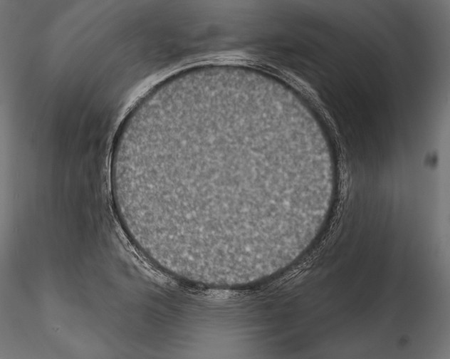 X0000114581176200911301328