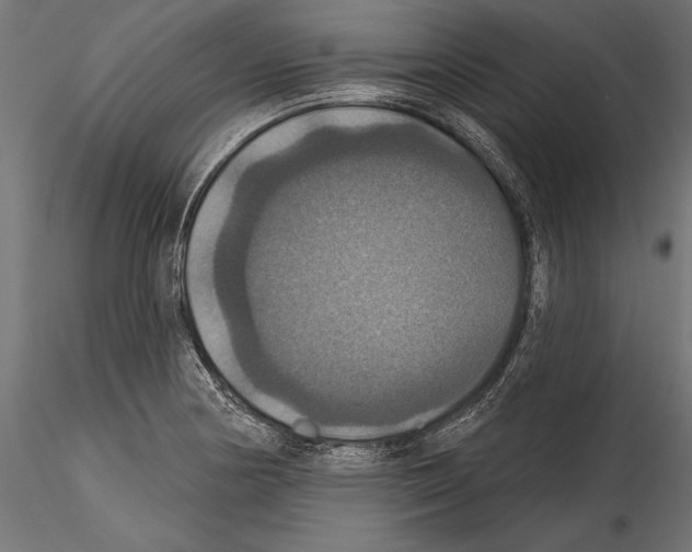 X0000114581178200911301328