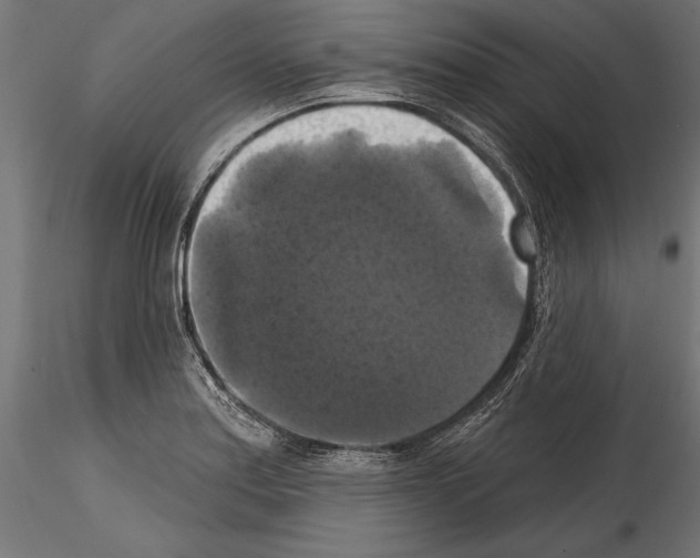 X0000114581179200911301328