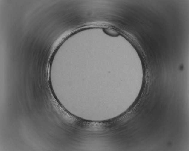 X0000114581180200911301328