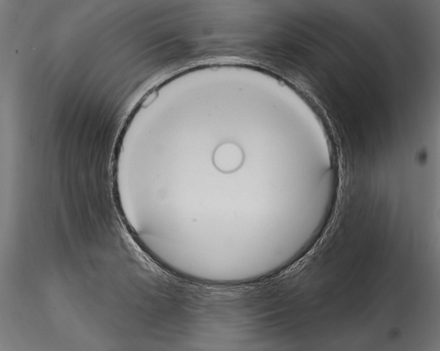 X0000114581181200911301328